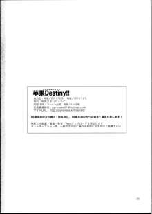 苹果Destiny!!, 日本語