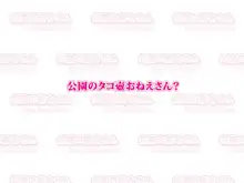 公園の痴女さん やっぱり、おねえさん変だよっ!, 日本語