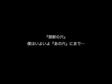 スーパーアイドル愛花!!夢もエッチもGO!GO!GO!, 日本語