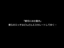 スーパーアイドル愛花!!夢もエッチもGO!GO!GO!, 日本語