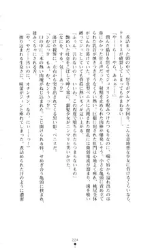 新・呪い屋零 淫魔の塔, 日本語