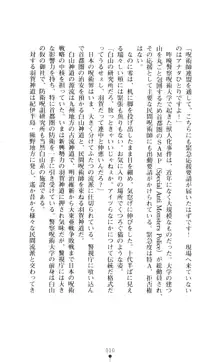 新・呪い屋零 淫魔の塔, 日本語