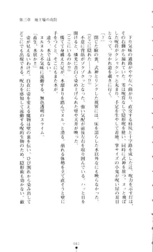 新・呪い屋零 淫魔の塔, 日本語