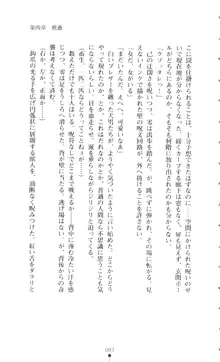 新・呪い屋零 淫魔の塔, 日本語