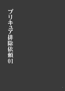 プリキュア排除依頼01, 日本語