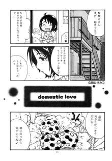 domestic love, 日本語