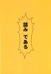 孤独のブラジル, 日本語