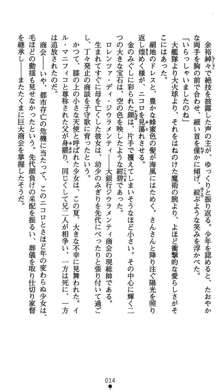 肛辱の令嬢ロレンツァ 淫悦に落ちる乙女の涙, 日本語