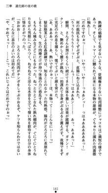 肛辱の令嬢ロレンツァ 淫悦に落ちる乙女の涙, 日本語