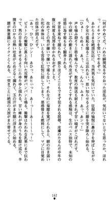 肛辱の令嬢ロレンツァ 淫悦に落ちる乙女の涙, 日本語