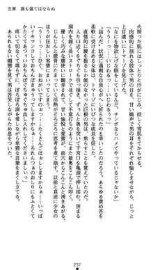 肛辱の令嬢ロレンツァ 淫悦に落ちる乙女の涙, 日本語