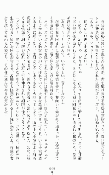 魔法戦士エリクシルナイツ －運命に繋がれし乙女たち－, 日本語