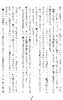 ダブル姫騎士 隷辱の王室, 日本語