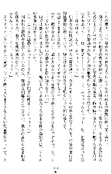 ダブル姫騎士 隷辱の王室, 日本語