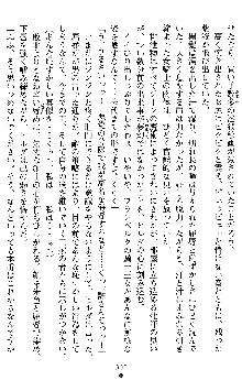 ダブル姫騎士 隷辱の王室, 日本語