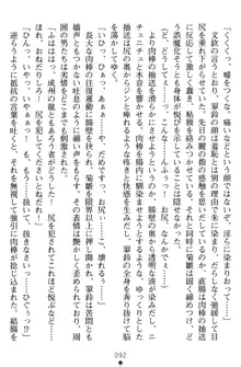 無双艶戯 堕とされし龍将姫, 日本語