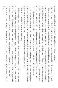 無双艶戯 堕とされし龍将姫, 日本語