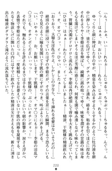 無双艶戯 堕とされし龍将姫, 日本語