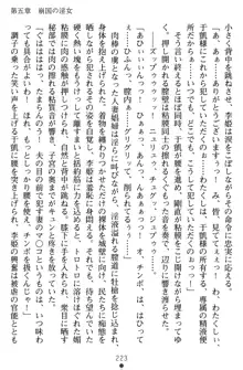 無双艶戯 堕とされし龍将姫, 日本語