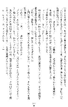 戦乙女ヴァルキリー2 アリーヤ～孕む残月～, 日本語