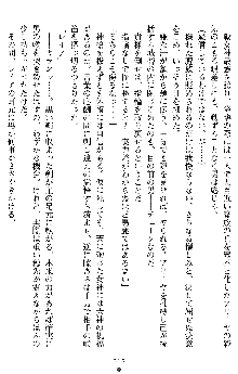 戦乙女ヴァルキリー2 アリーヤ～孕む残月～, 日本語