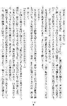 学園双剣艶舞2, 日本語