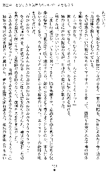 学園双剣艶舞2, 日本語