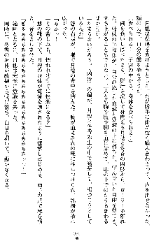 学園双剣艶舞2, 日本語