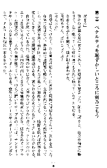 学園双剣艶舞2, 日本語