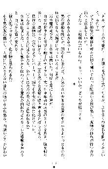 学園双剣艶舞2, 日本語