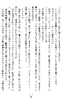 学園双剣艶舞2, 日本語