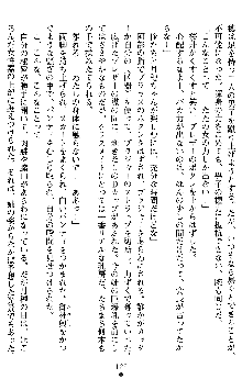 学園双剣艶舞2, 日本語