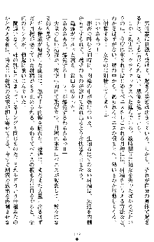 学園双剣艶舞2, 日本語