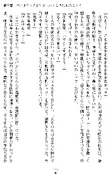 学園双剣艶舞2, 日本語