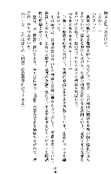 学園双剣艶舞2, 日本語