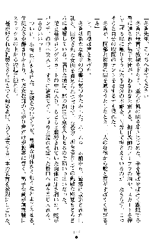 学園双剣艶舞2, 日本語