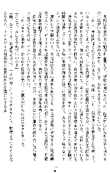 学園双剣艶舞2, 日本語