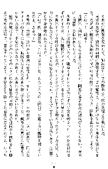 学園双剣艶舞2, 日本語