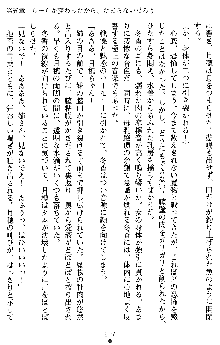 学園双剣艶舞2, 日本語