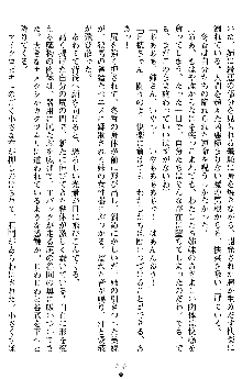 学園双剣艶舞2, 日本語