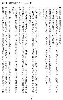 学園双剣艶舞2, 日本語