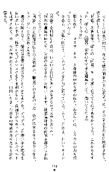 学園双剣艶舞2, 日本語