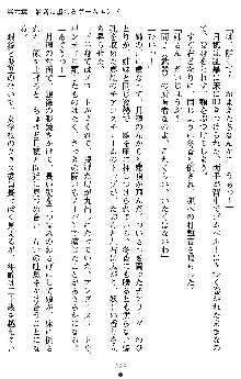 学園双剣艶舞2, 日本語