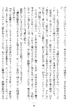 学園双剣艶舞2, 日本語