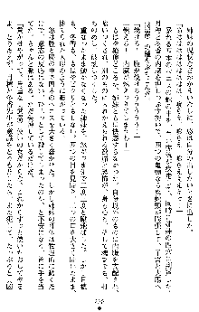 学園双剣艶舞2, 日本語