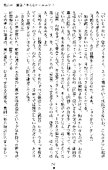 学園双剣艶舞2, 日本語