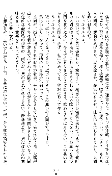 学園双剣艶舞2, 日本語