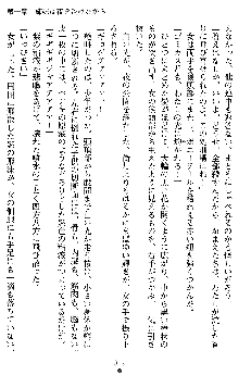 学園双剣艶舞2, 日本語