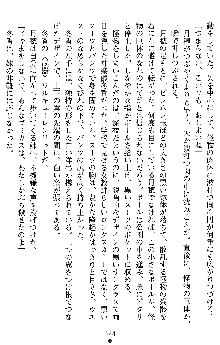 学園双剣艶舞2, 日本語