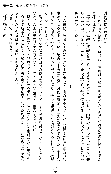 学園双剣艶舞2, 日本語